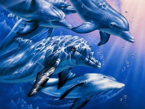 3danimals05.jpg